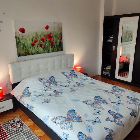 Lovely 1 Bedroom Apartment In City Centre, Sleeps 4 ! Turda Zewnętrze zdjęcie